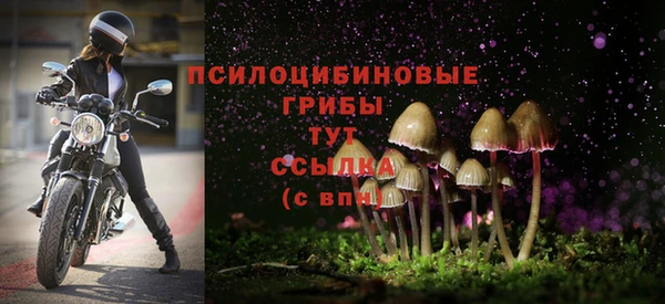 соль курить ск Алексеевка