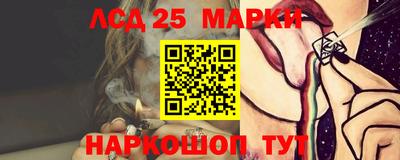 стаф Краснодар