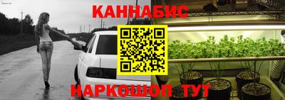 стаф Краснодар