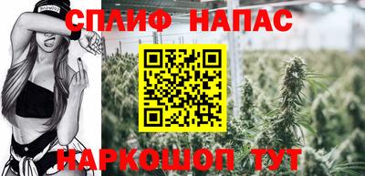 стаф Краснодар