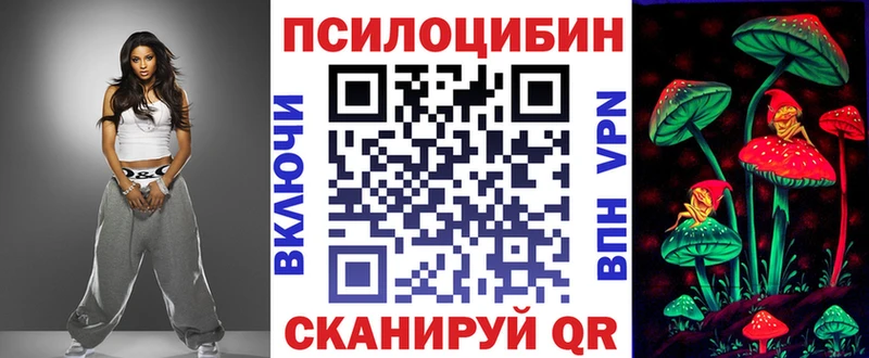 Псилоцибиновые грибы Psilocybe  Кандалакша 