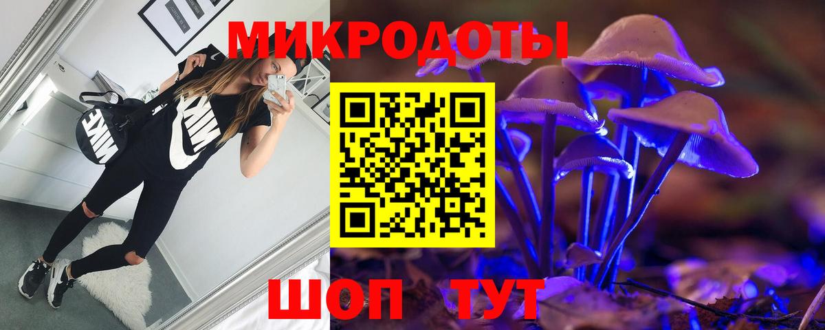 Псилоцибиновые грибы MAGIC MUSHROOMS Кандалакша