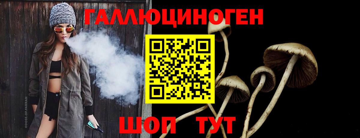 Кандалакша  Галлюциногенные грибы Magic Shrooms  Вход с VPN 